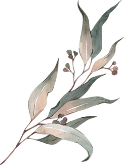 element_20.png